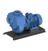 GMP Pump EAFE 4 KW 400/690 V Self-suction cast iron pump