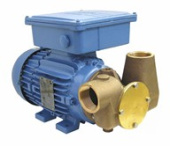 Jabsco 53081-2003-110 - Utility 80' 1 1/2" Self-Priming Flexible Impeller Pump 110volt/1 phase/50Hz a.c.