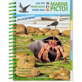 Plastimo 1061012 - Book Pictolife Sailing Low Tide