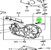 Nanni Diesel 970314106 - Straight Screw-Head Plug for Timing Gear Case