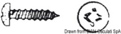 Osculati A2 AISI 304 Stainless Steel Pan Head Self-Tapping Screws DIN 7981 / UNI 6954, Ø2.9–6.3 mm