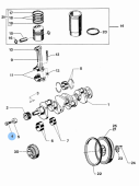 Vetus STM2131 - Screw