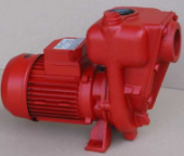 Binda Pompe DPBIG10 - Self-priming Electric Pump Diesel Pump Big 1,0