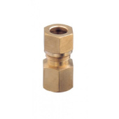 Guidi Brass Female Straight Fitting 1/2X12