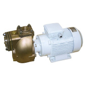 CEM Elettromeccanica Bronze Pump AM 40-4T 400V