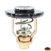 Trem N0152006 - Yamaha Thermostat 6FP-12411-00
