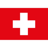 Swiss Flag 20x30cm