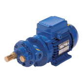 CEM Elettromeccanica Gearwheel Pump Gear 300/5L-10BT