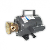 Jabsco 11810-0013 - Pump W/115 Volt AC TEFC Motor, Nitrile Impeller (Oil Resistant)