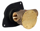 Jabsco 21140-2401 - 1" bronze pump, 80-size, flange-mounted with BSP threaded ports