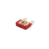 Maxi Fuse 50A
