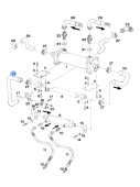 Vetus STM8551 - Hose from Waterpump to Oilcooler on D4.29 and DT4.29