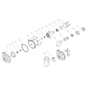 Allpa Hose & Hose Clamp