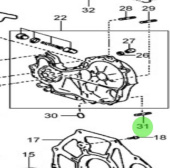 Nanni Diesel 970312584 - Timing Gear Case Stud Bolt for T4 and T6 Engines