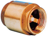 Allpa Brass Spring Check Valve, 1"