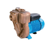 GMP Pump B1KQ-A/B 0.37 KW Bronze self-suction pump