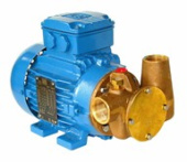 Jabsco 53041-2053-400 - Utility 40' 1 in Self-Priming Flexible Impeller Pump