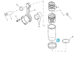 Northern Lights AR98850 - SEAL RING KIT