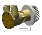 Jabsco 29630-1301A - Bronze Pump, 80-size, Flange-mounted With 32mm (1¼") Hose Ports