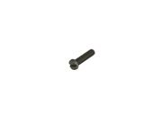 Talamex Stainless Steel AISI 316 Pan Head Bolt DIN 84 M4x30 (60 pcs)