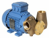 Jabsco 53081-2003-400 - Utility 80' 1 1/2" Self-Priming Flexible Impeller Pump