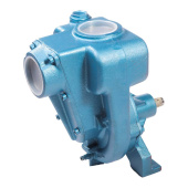 Alpha Pompe 02RA-2" Right-Hand Rotation Pump