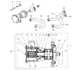 Vetus STM8242 - Lid Seal