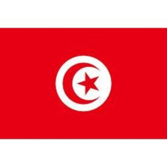 Tunisia Flag 30x40cm