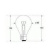 Bulb E27 24V 40W