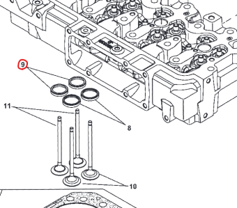 Northern Lights R515034 - Valve Seat Insert, Intake 