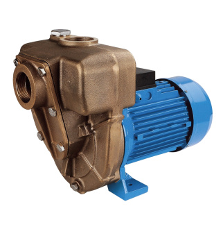 GMP Pump G2TMK-A/B 2.2 KW Bronze self-suction pump