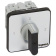 Legrand 20A Changeover Switch
