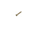 Talamex Brass Wood Screw Counter Head DIN 95 3,0 x 16 (36 pcs)