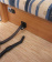 Beflexx Vacuum Cleaner Boat Pack 230V Black