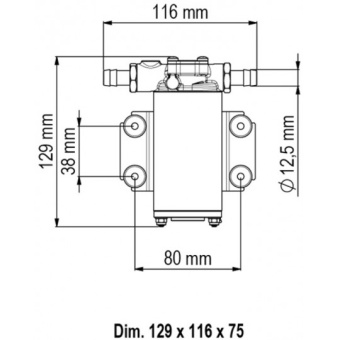 Marco UP9-XC 12 V Pump