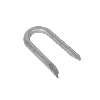 Point Staples 50x5mm 5kg