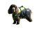 Besto 20429105 - Dog Buoyancy Aid Deluxe Yellow/Black 4-8kg