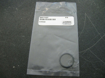 Kohler GM17437 - O-Ring