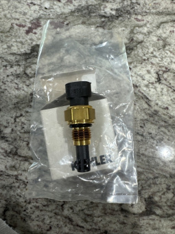Kohler GM50034 - Air Temperature Thermocouple