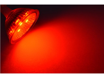 Talamex LED 16 10-30V G4-Under