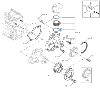 Vetus DZ37003 - O-Seal for Coolant Pump