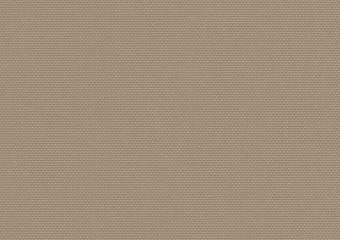 Sunbrella Surlast Sand