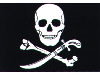 Jolly Roger Pirate Boat Flag