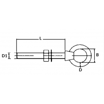 AISI 316 Ring Bolt M12