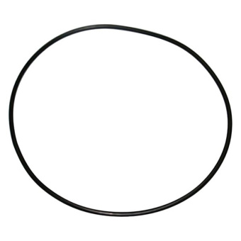 Jabsco 18753-0656 - O-Ring Gasket for 22110 Pump