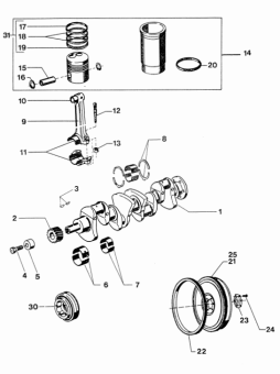 Vetus STM2199 - Set Piston Rings P4.21 for Crankshaft