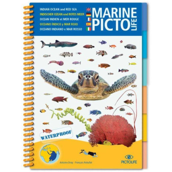 Plastimo 1060933 - Book Pictolife Sail Indian Ocean And Red Sea