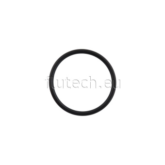 Jabsco SP2000-58 - O-Ring Sealing