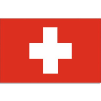 Switzerland Flag 30x45cm