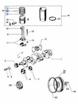 Vetus STM2146 - Piston Ring